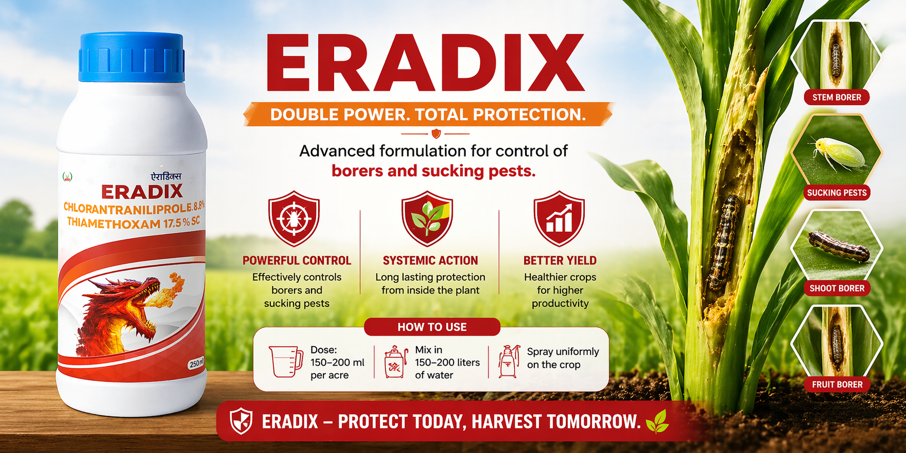 RootMax Banner