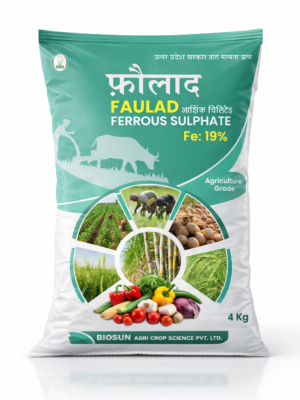FAULAD Ferrous Sulphate (Fe 19%) – Agriculture Grade