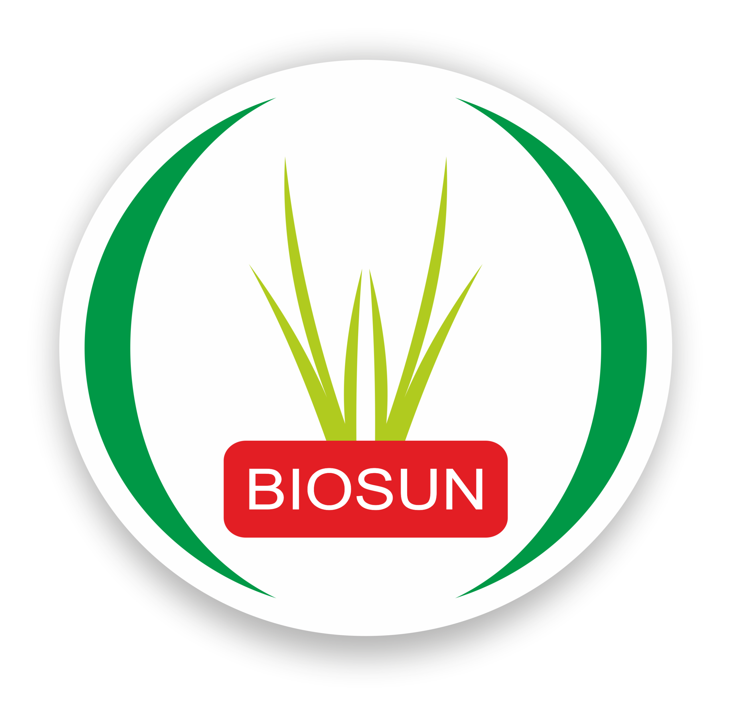 Biosun Logo