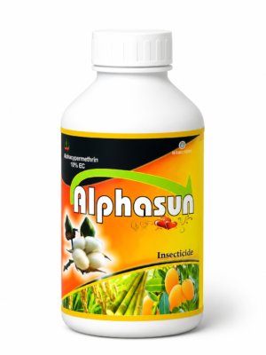 Alphasun (Alphacypermethrin 10% EC) | Powerful Broad-Spectrum Insecticide | Suitable for Multiple Crops
