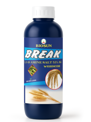 BREAK | 2,4-D AMINE SALT 53% SL | BEST WEEDICIDE